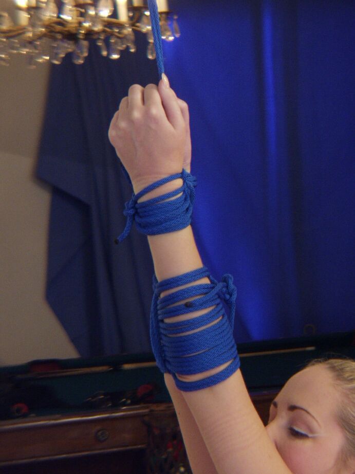20P Hogtied Chanta Rose