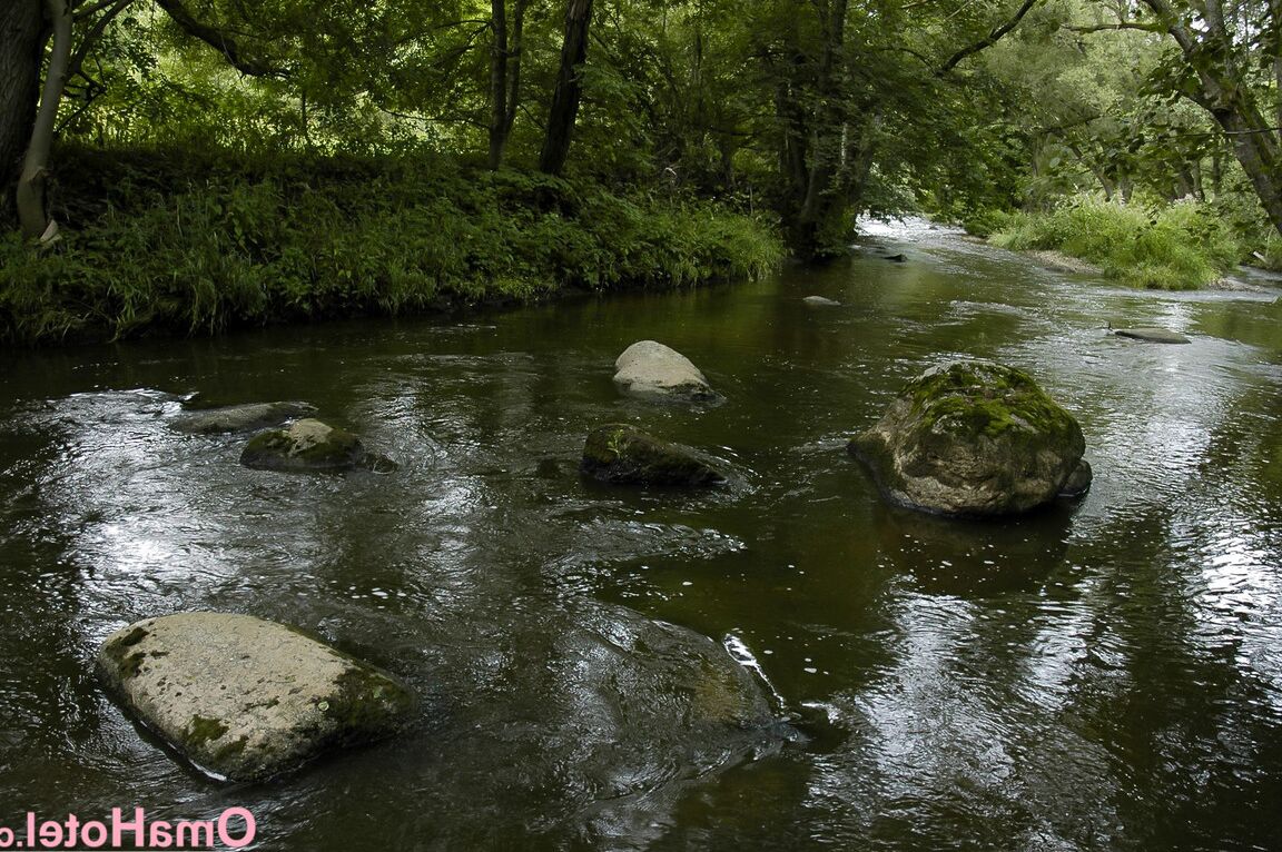 20P La abuela rubia Irmchen muestra sus pequeños pechos caídos y posa en el bosque