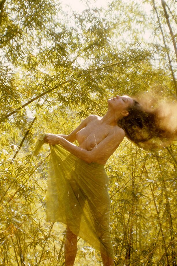 10P Julie Newmar, grande brune Playboy, pose nue dans une nature magnifique