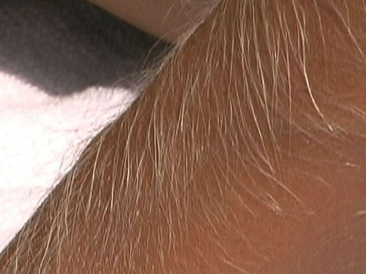 21P MILF pervertida con brazos peludos Lori Anderson hace alarde de su culo caliente al aire libre