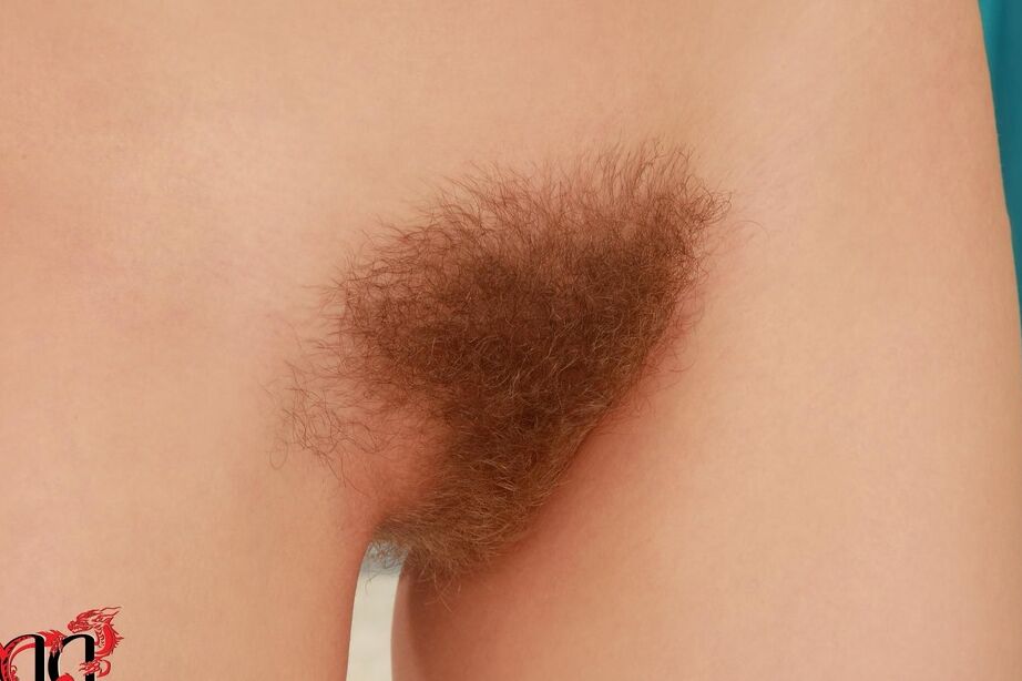 16P A modelo solo Rachel Dark exibe com orgulho suas axilas e castor totalmente naturais