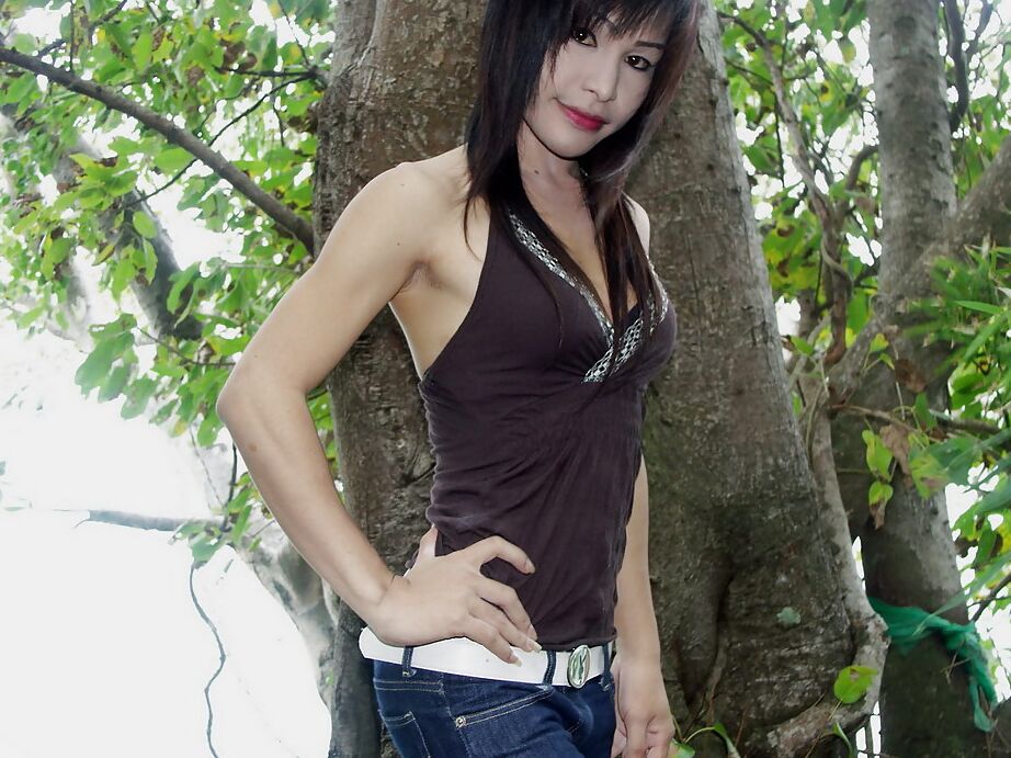 12P Adorable ladyboy asiática morena mostrando sus pequeñas tetas al aire libre