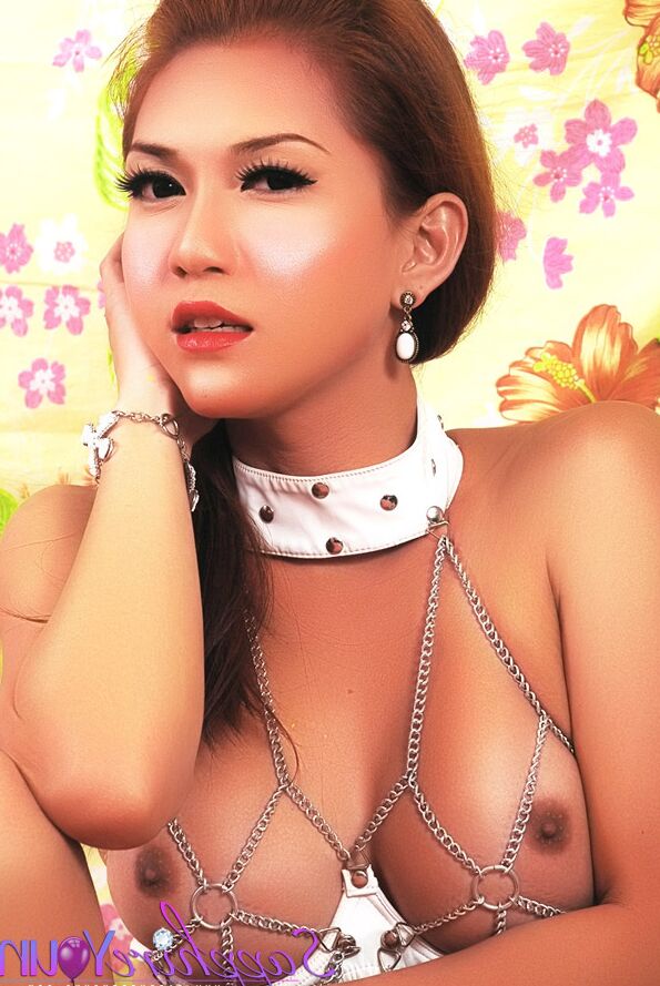13P Eine übermütige asiatische Transe in einem versauten Bikini macht ihren Schwanz hart und stellt ihn zur Schau