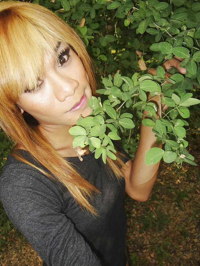 16P La delgada ladyboy asiática Mic muestra sus pequeñas tetas y su polla peluda al aire libre