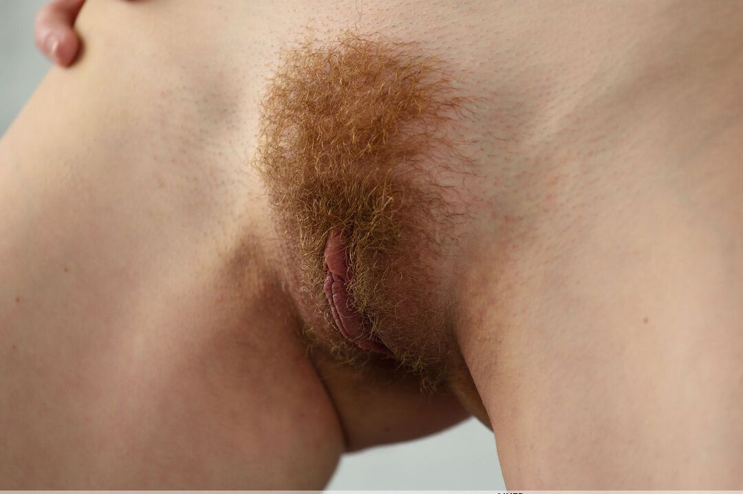 16P Horny redhead Adel P fondles nipples, spreading wide open to show hairy pussy