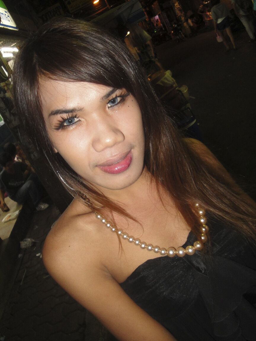 17P Jovem ladyboy tailandês com púbis peludo demonstra pau para turista curioso