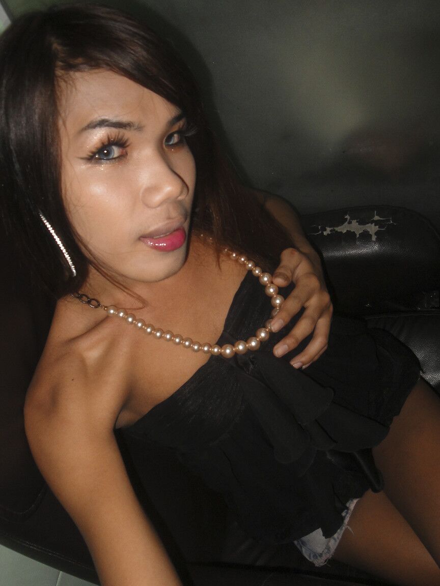 17P Jovem ladyboy tailandês com púbis peludo demonstra pau para turista curioso
