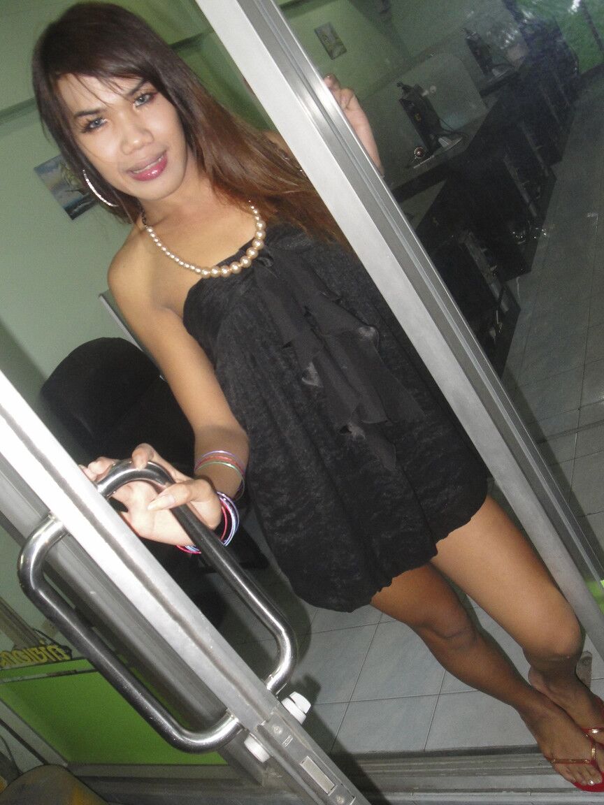 17P Jovem ladyboy tailandês com púbis peludo demonstra pau para turista curioso