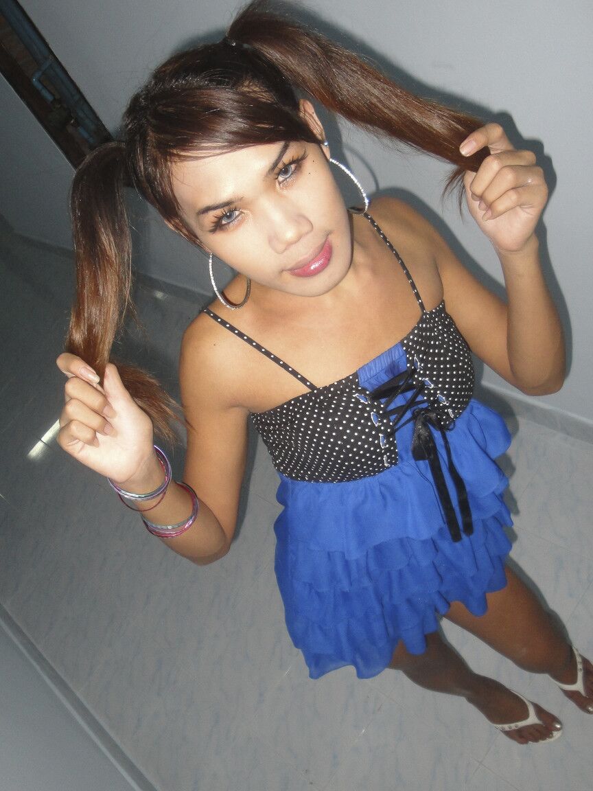 17P Jovem ladyboy tailandês com púbis peludo demonstra pau para turista curioso