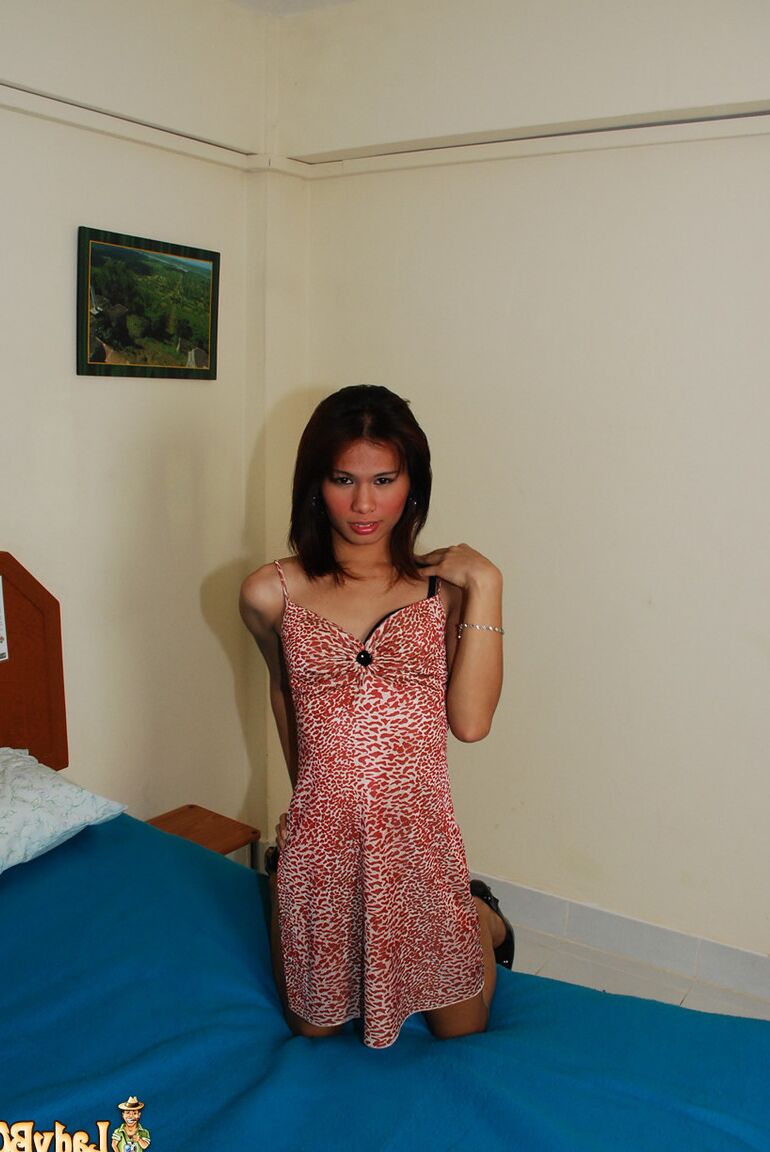 21P Ladyboy Player Pfannkuchen