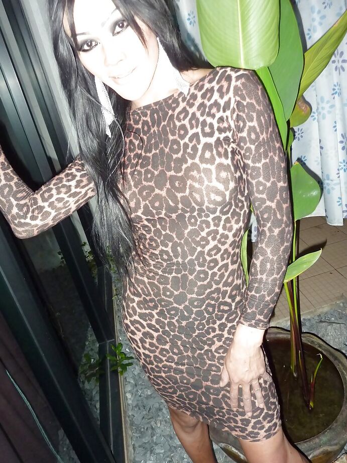 16P Ladyboy asiático excêntrico exibindo seus peitos grandes e espalhando seu cu