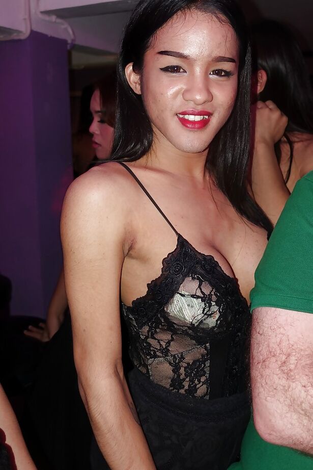 16P Compilation of various Asian shemales strutting about in public