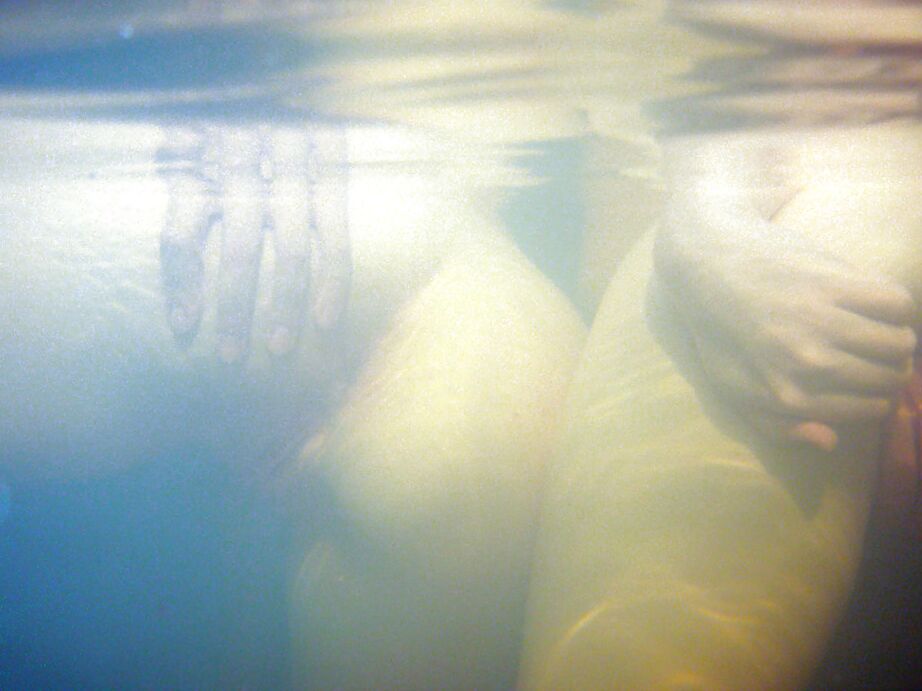 16P Lesbianas adolescentes lascivas jugando con sus juguetes sexuales en la piscina