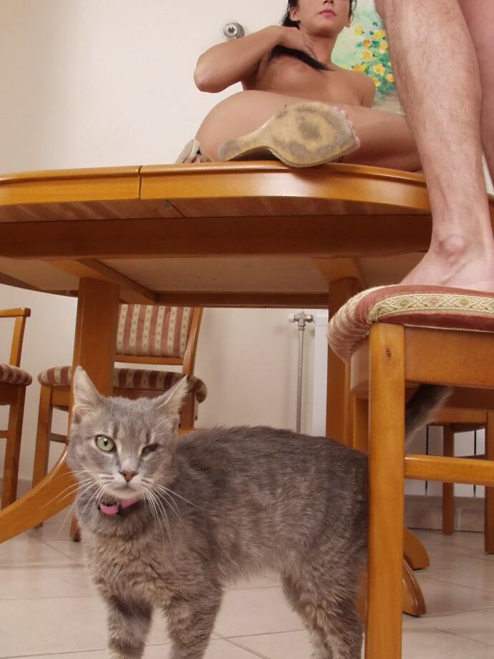 21P Adolescente Sonhos Gengibre Bom