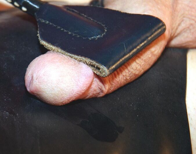 15P Leather N Latex CBT в латексе