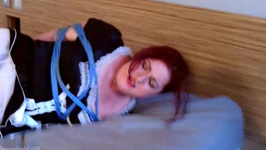 16P Black Fox Bound Tying up the Maid