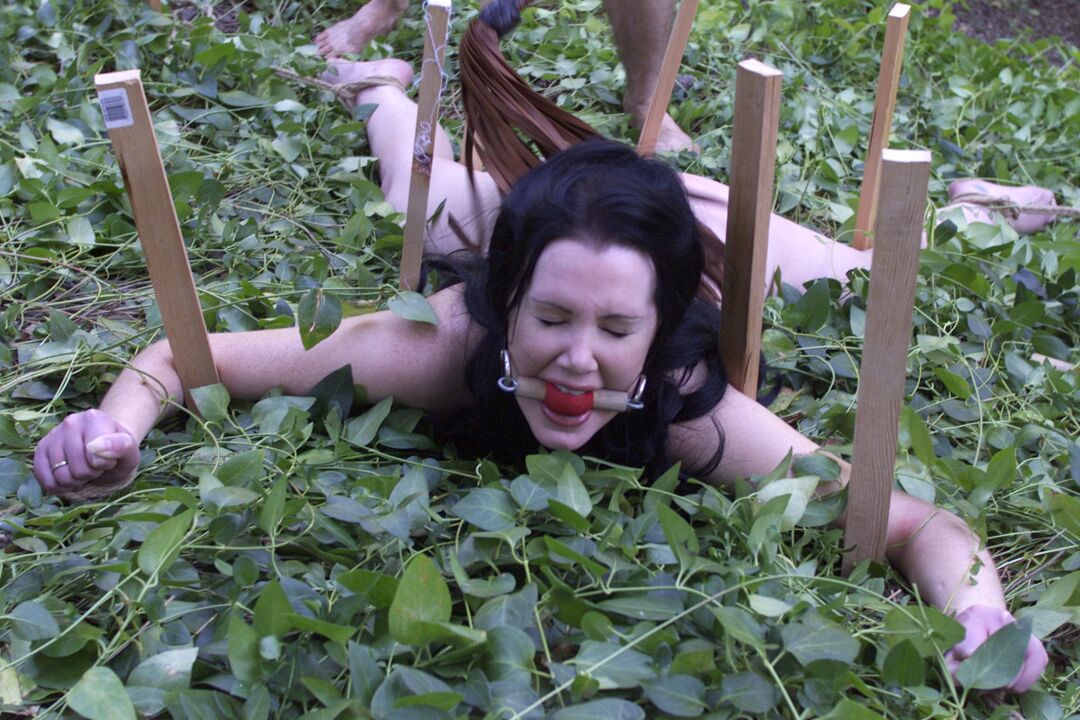 21P Hogtied Paige Richards