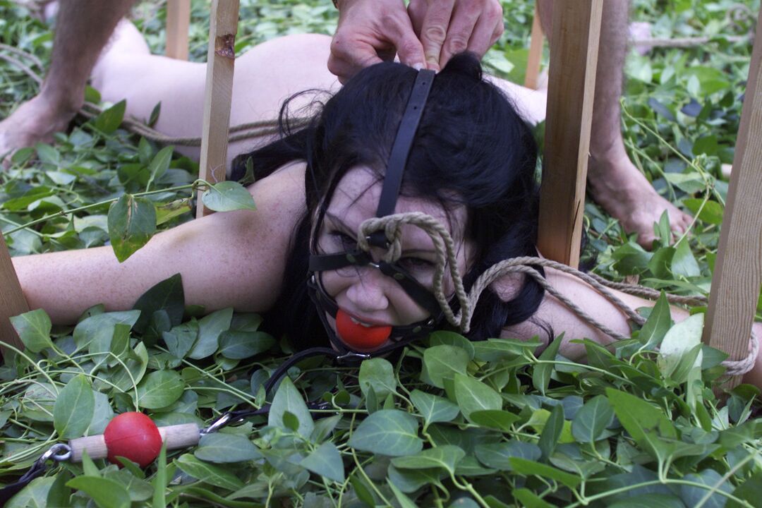 21P Hogtied Paige Richards