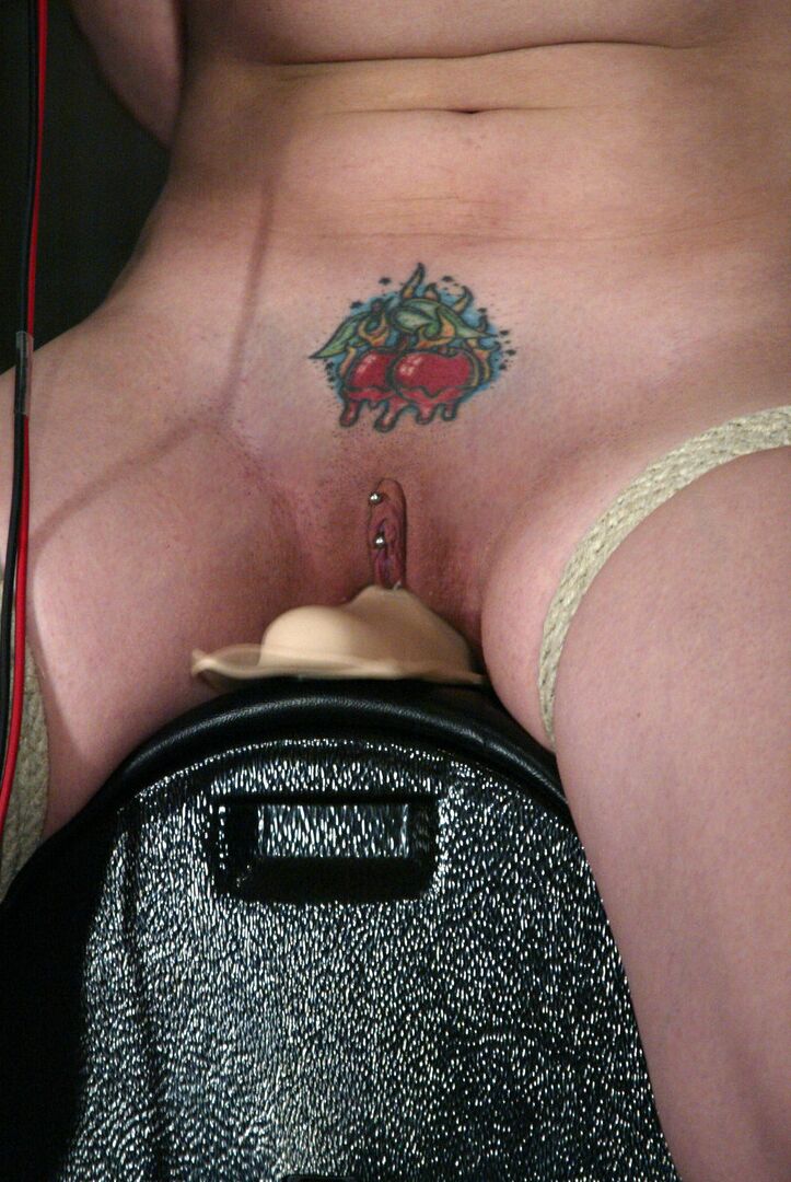21P Chatte filaire Dana DeArmond, Jenni Lee, Lorelei Lee