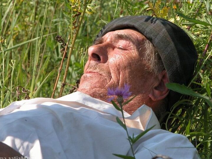 16P Pelirroja cachonda encuentra a un viejo vagabundo para follarle el coño caliente en un campo
