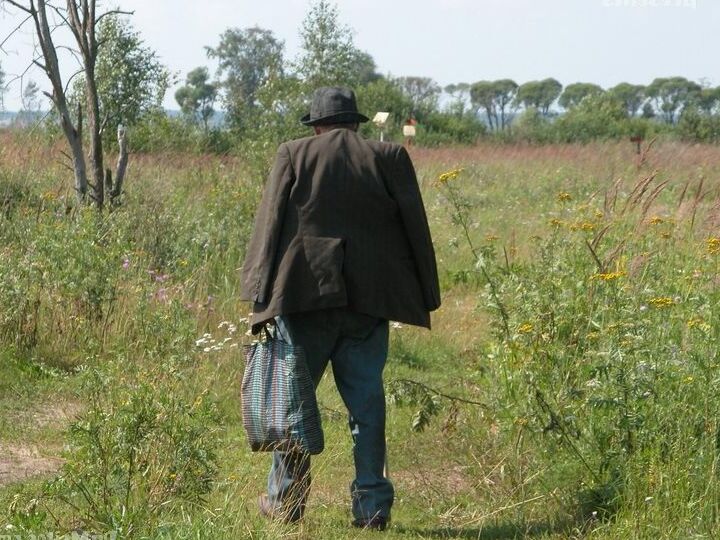16P Pelirroja cachonda encuentra a un viejo vagabundo para follarle el coño caliente en un campo