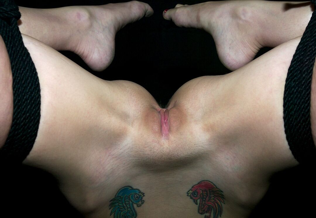 21P Appareil Bondage Miss Kitty