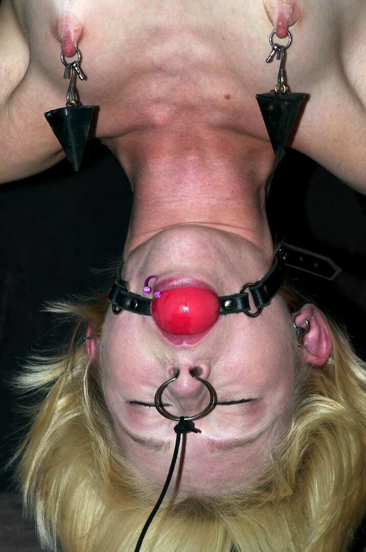 21P Appareil Bondage Miss Kitty