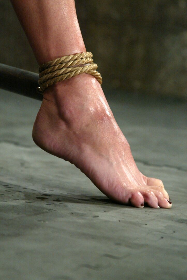21P Hogtied Vendetta