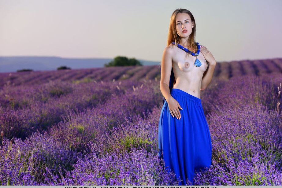 18P La simpática jovencita Hailey se desnuda totalmente en un campo de lavanda al atardecer