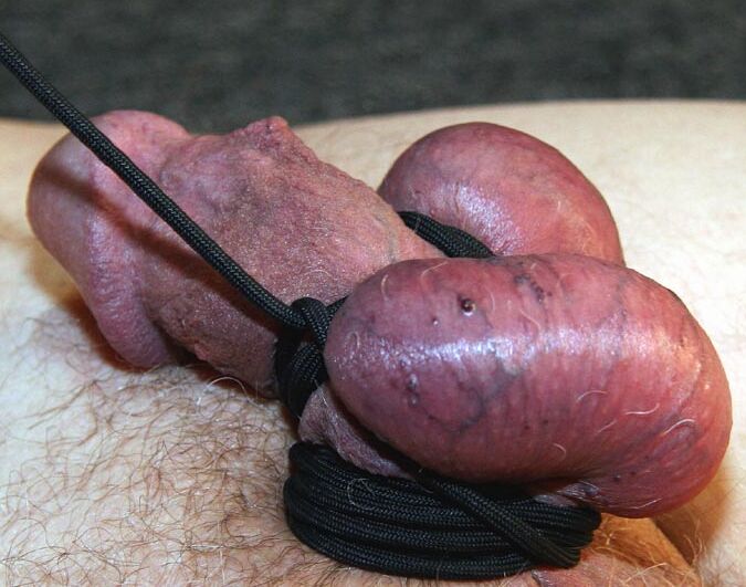 15P Sadistic blonde delivers the CBT treatment while fully clothed