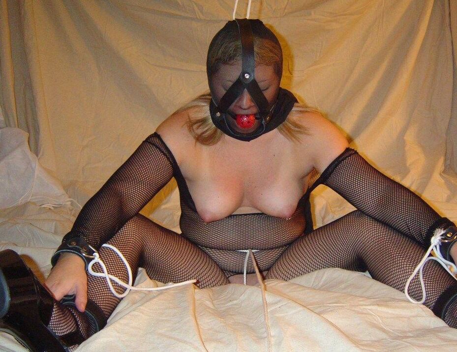16P Black Fox Fetish Fishnet Jogo de virilha