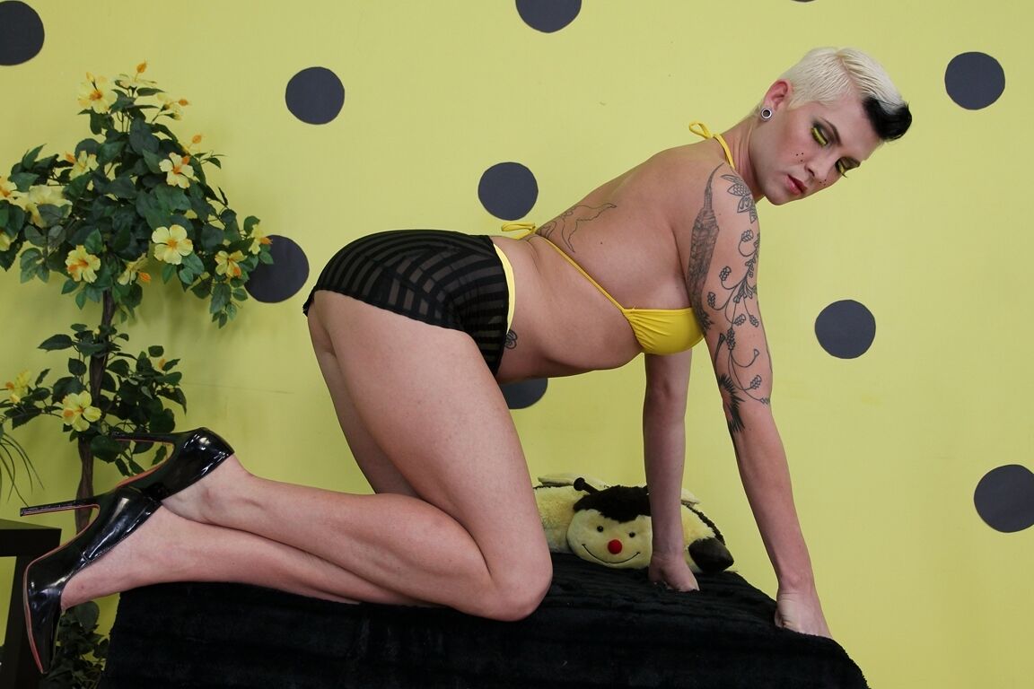 18P La transexual de pelo corto Danni Daniels mete su polla en el ojete de un chico flaco