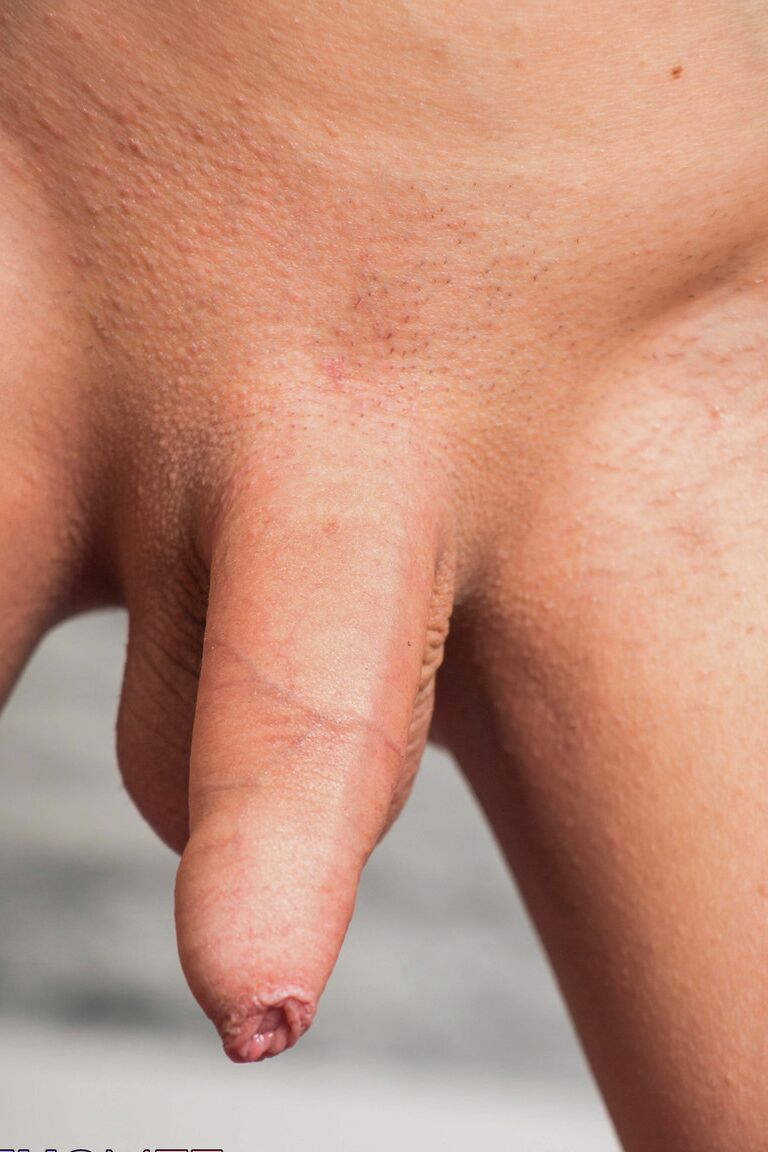 16P Femout XXX Nikki Gatinhos