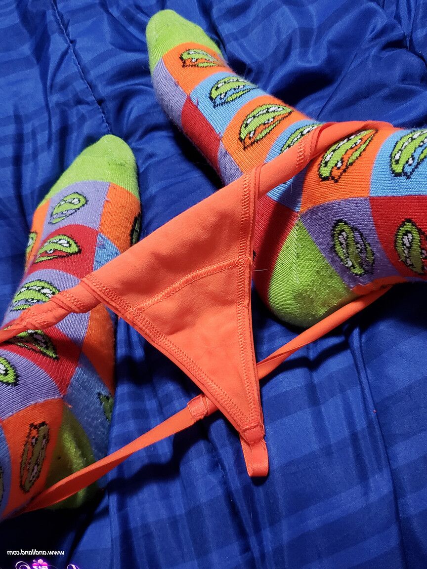 15P Andi Land Laranja