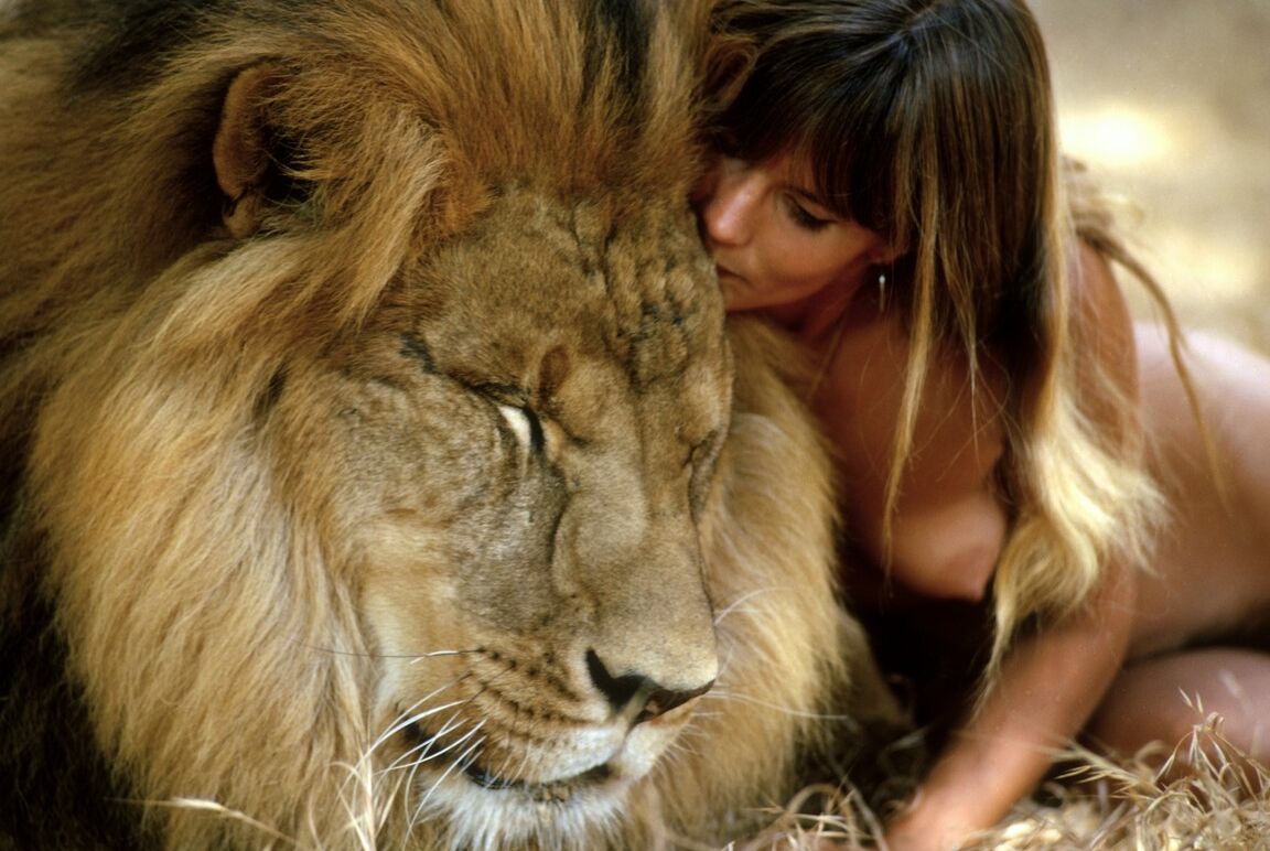 12P Nature girl Susan Backlinie com peitos pequenos posa nua ao ar livre com leão