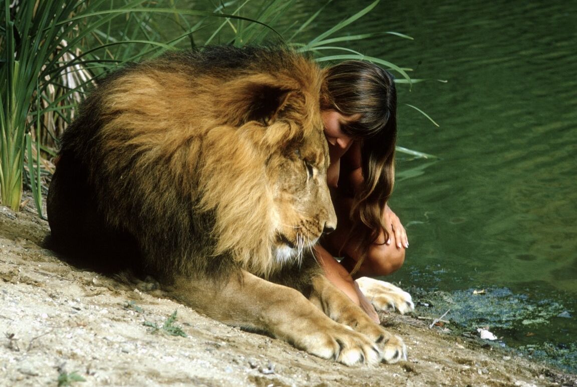 12P Nature girl Susan Backlinie com peitos pequenos posa nua ao ar livre com leão