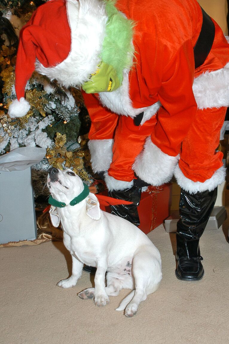 16P Der geile Mann Ryan maskiert sich, als Mr. Grinch seine kurvige Frau Kelly Madison fickt