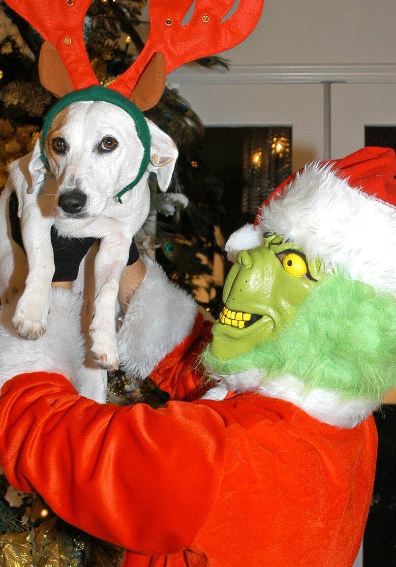 16P Der geile Mann Ryan maskiert sich, als Mr. Grinch seine kurvige Frau Kelly Madison fickt