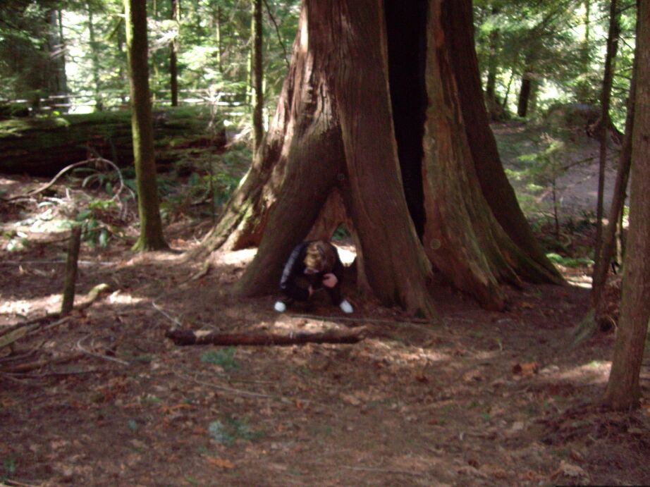 20P Mulher amadora Cougar Babe Lolee se expõe em uma floresta antiga