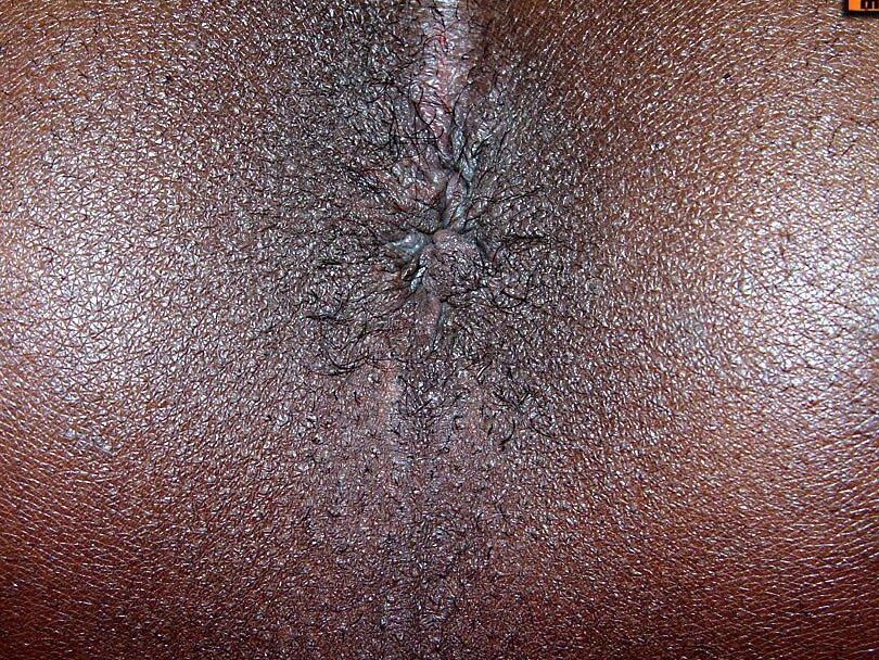 16P Preto TGirls Sedução