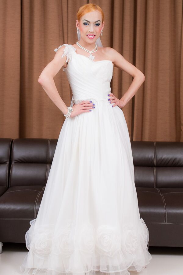 16P Ladyboy Gold Wedding Day Paja