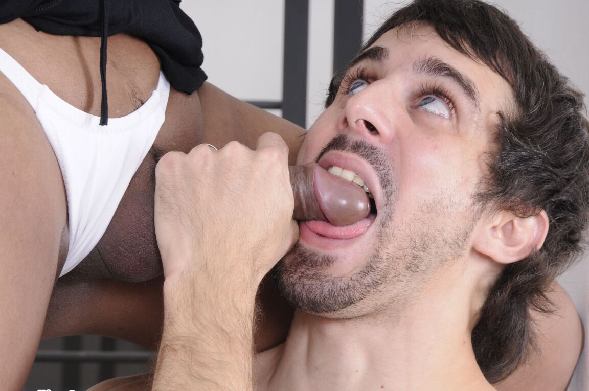 17P Latina transexual de pelo rizado Jennifer T se folla a un lindo maromo a lo perrito