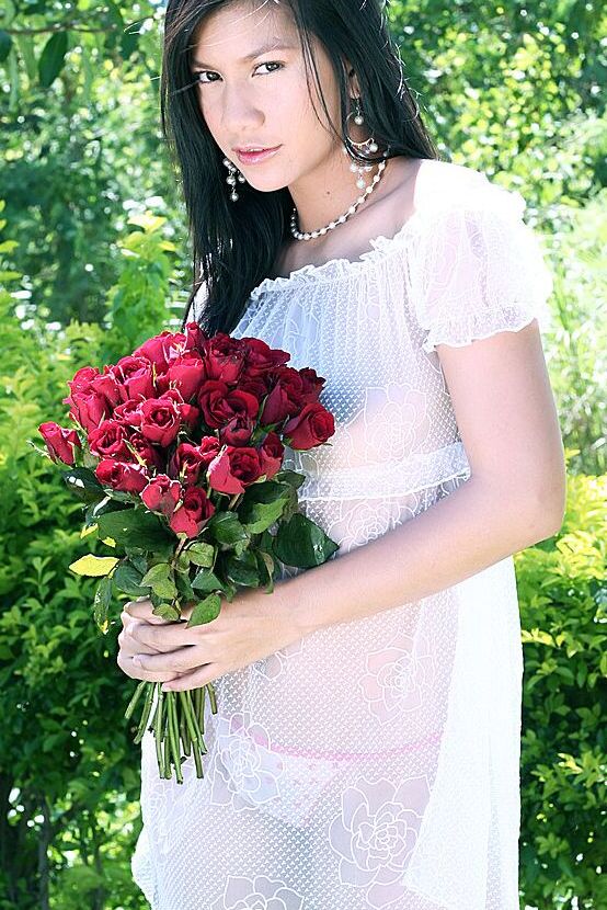 16P Thai Cuties Rosa Tailandesa