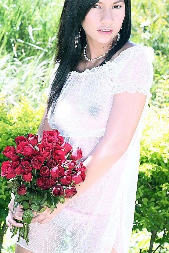 16P Thai Cuties Rosa Tailandesa