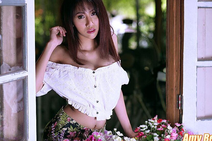 Caixa de janela 16P Thai Cuties