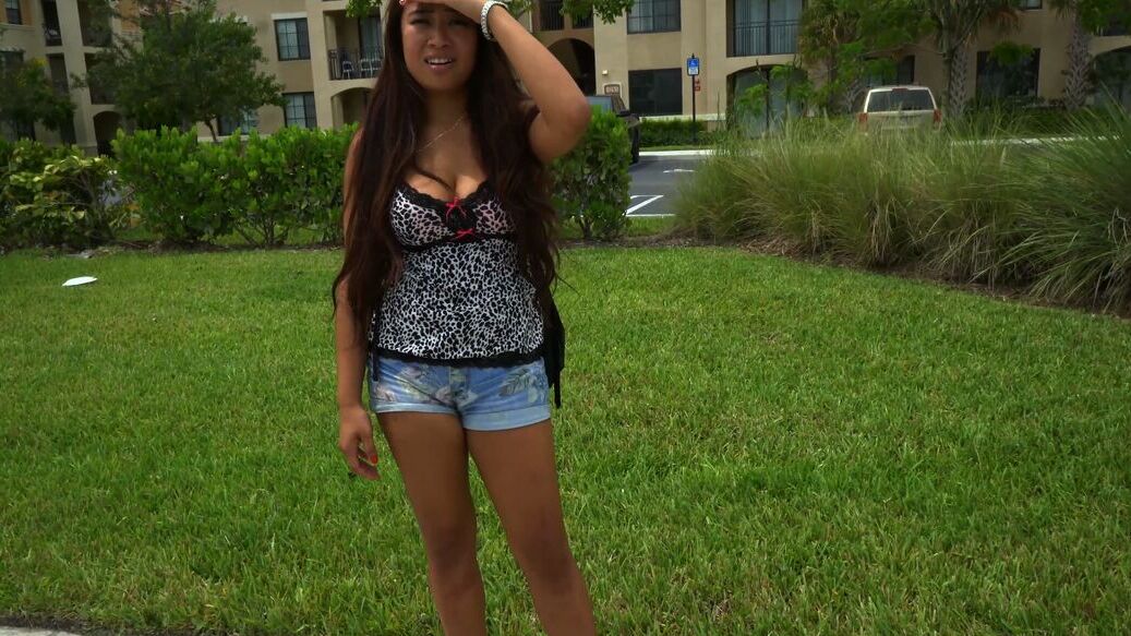 21P Asian hitchhiker Sasha Yamagucci gets rammed and facialized in the car