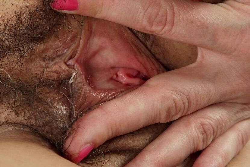 16P Astonishing brunette Halle B. is undressing herself in close-up