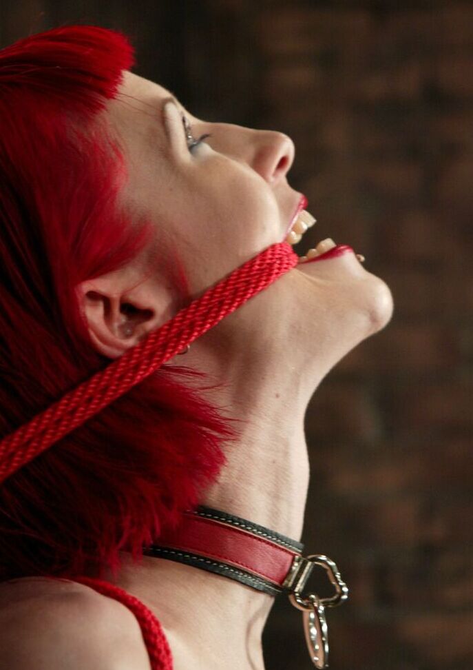 21P Hogtied Kory Vixen, Thane