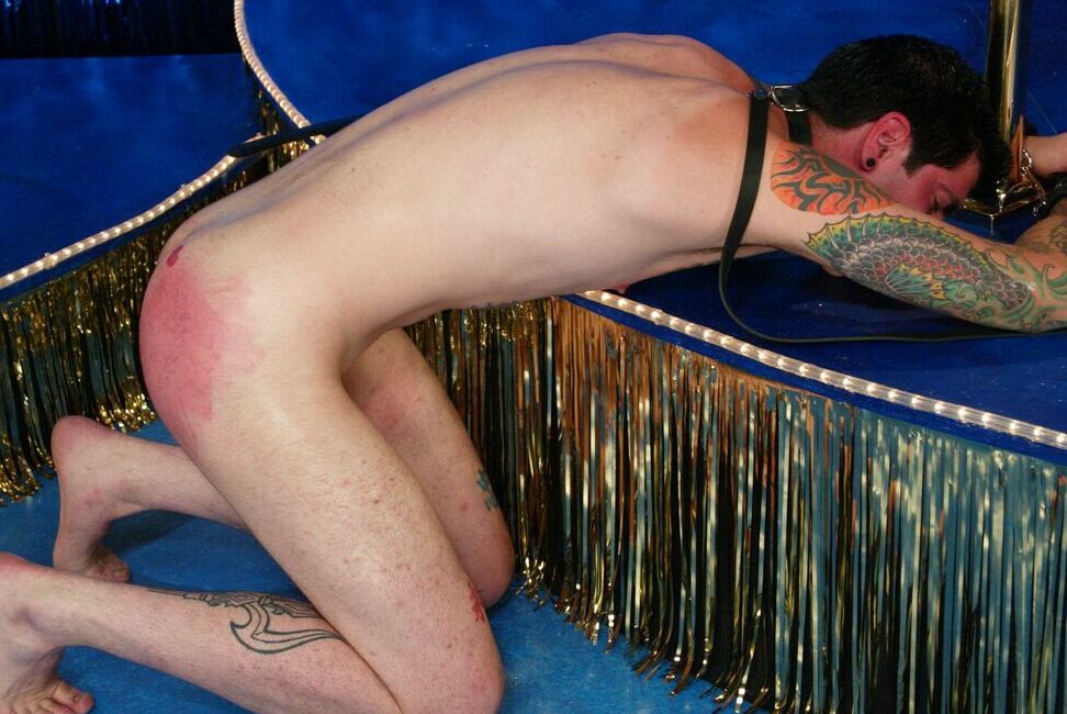 17P Princess Kal pegs a male sub after turning his bare ass beet red