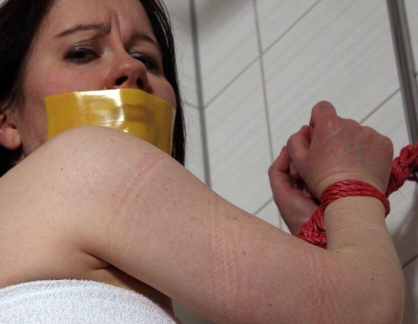 Accesorios de baño encuadernados con zorro negro 16P
